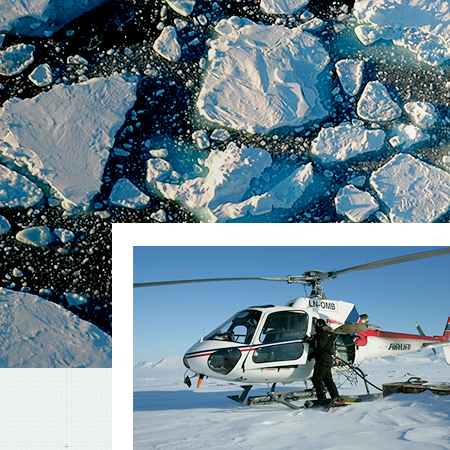 Coca-Cola Arctic Home